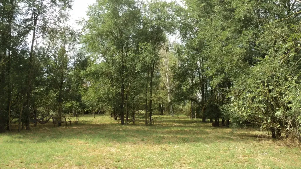 Aed - Detached Villa with Garden in Argenta
