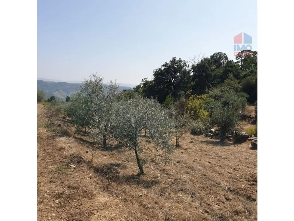 Aed - Luxury House with Olive Grove in Vila Real
