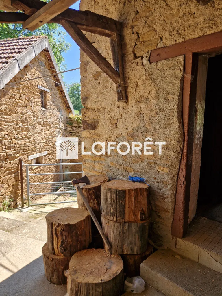 Garden - Rustic Stone House with Land in La Primaube