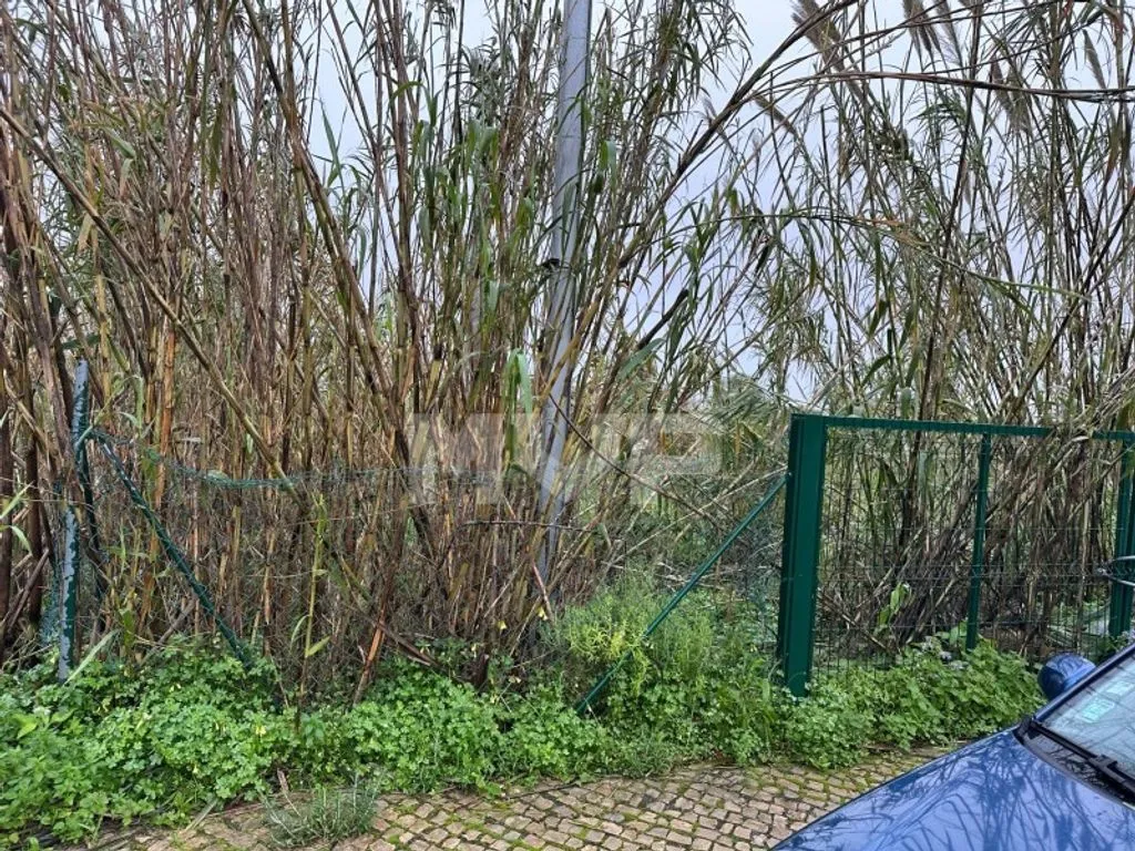 Jardin - Building Land Near Future Park in Olhão