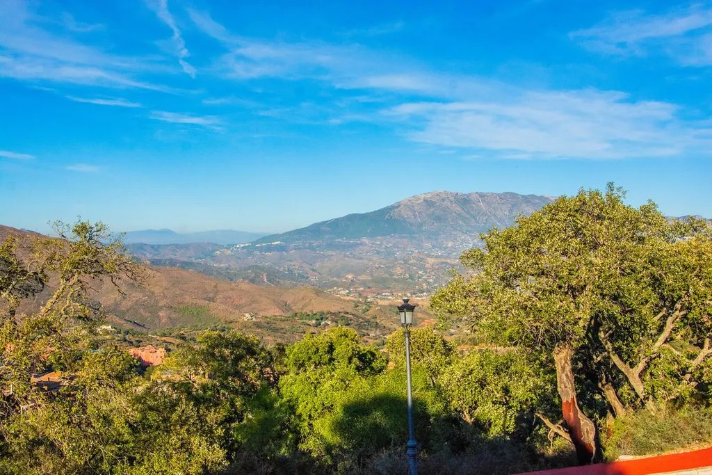 Garden - Luxury Villa with Pool in La Mairena