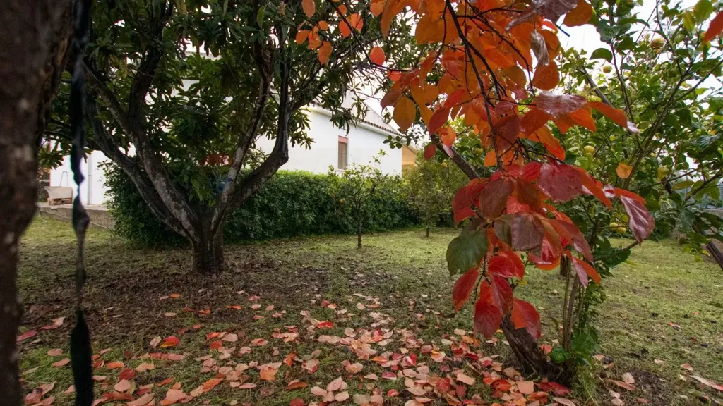 Jardin - Villa with Garden in Cavasecca, Noto