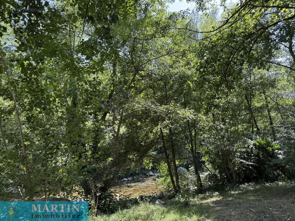 Giardino - Mas with River Access in Peaceful Hamlet