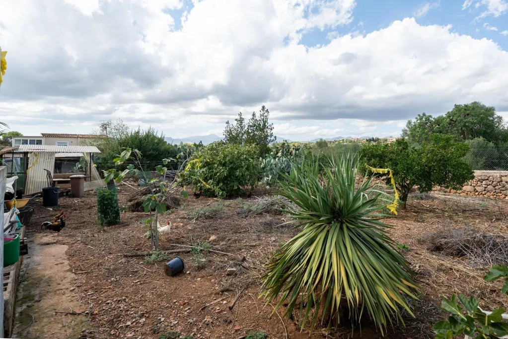 Rustic Finca with Pool in Pòrtol, Mallorca