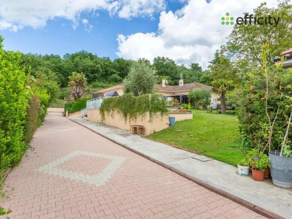 Garden - Character House with Pool in Saint-Priest