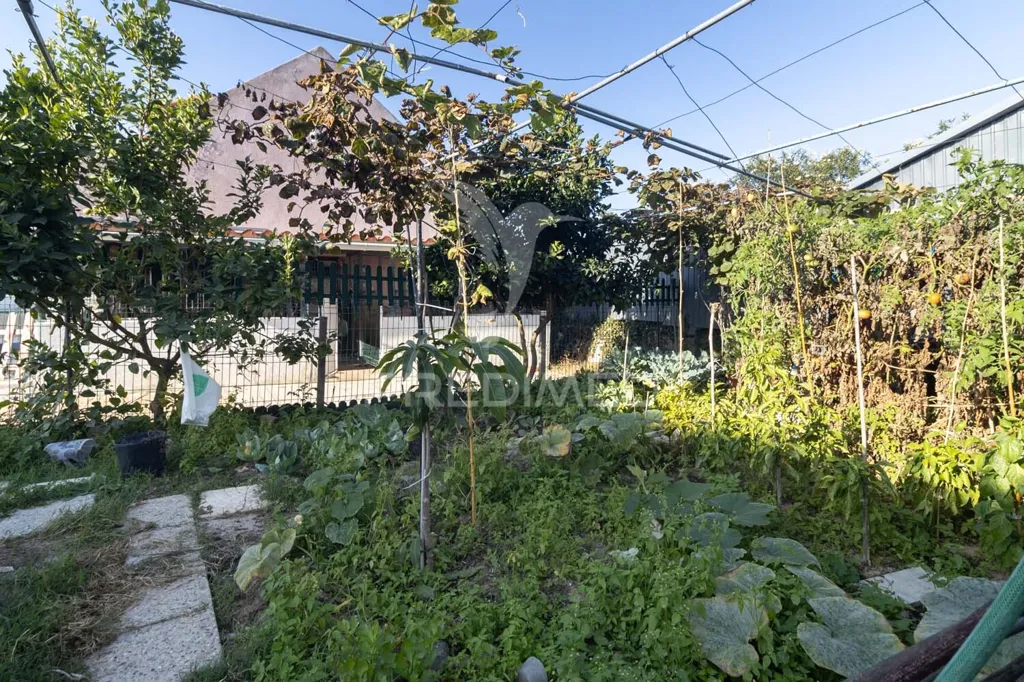Jardin - Detached House with Pool in Sesimbra