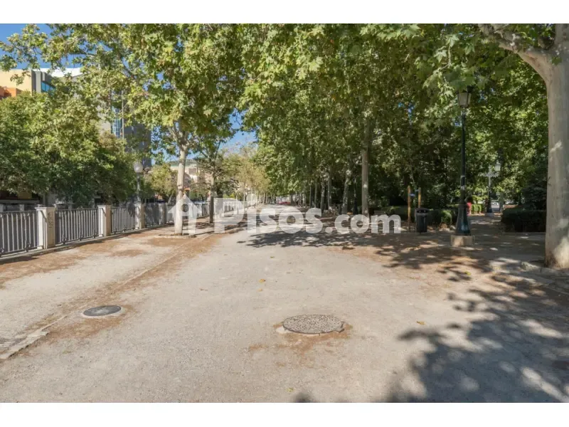 Renovated Flat with Northwest View in Alhamar