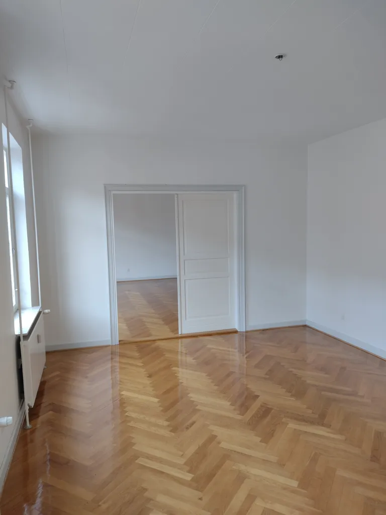 Toad - Spacious Renovated Penthouse in Odense C