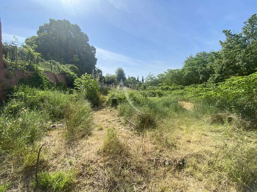 Aed - Constructible Plot with Garden in Montmaur