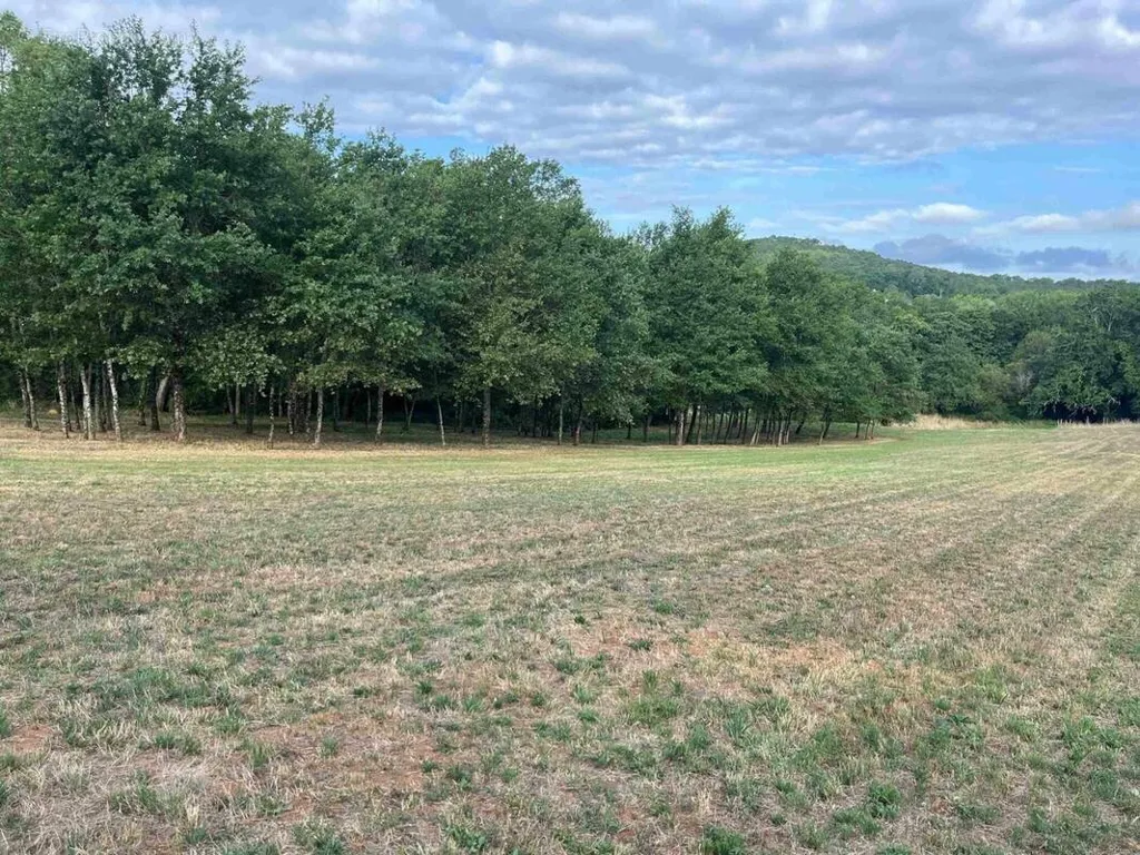 Garden - 2000 m² Plot in Gourdon