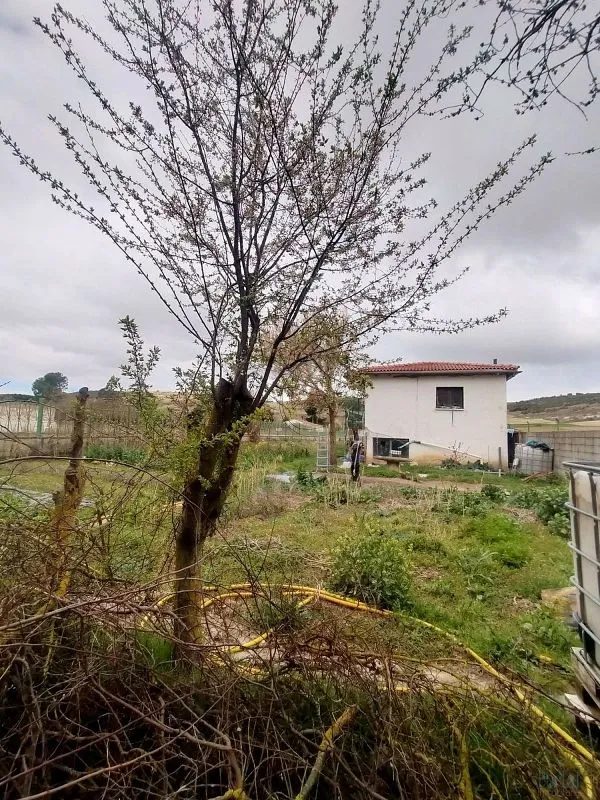 land_plot