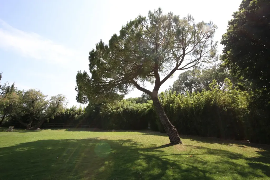 Aed - Luxury House with Pool in Nîmes, Occitanie