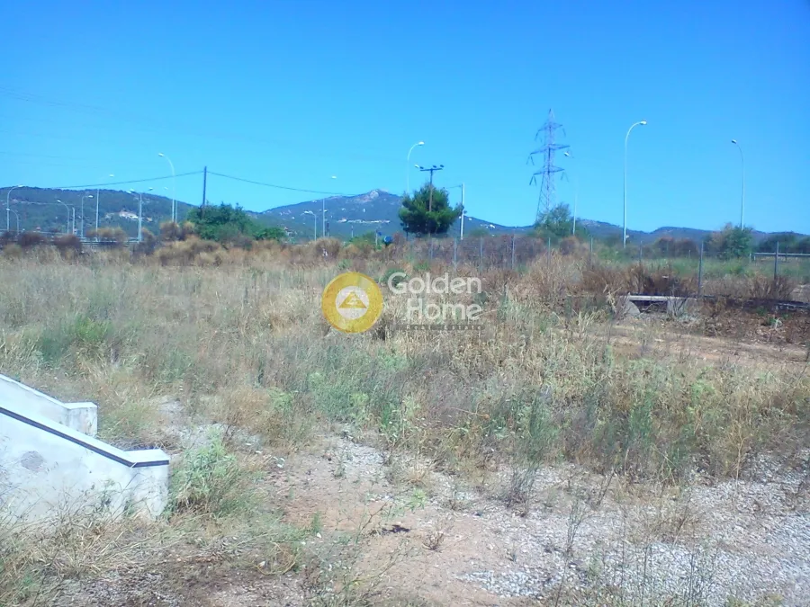 Garden - Agricultural Plot with Unrestricted View in Kiparissia