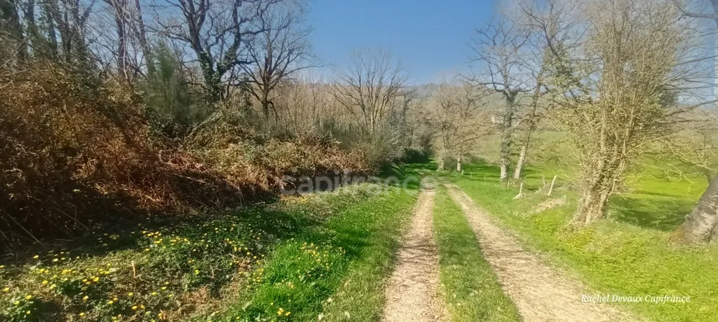 Aed - Wooded Plot with River in Pance