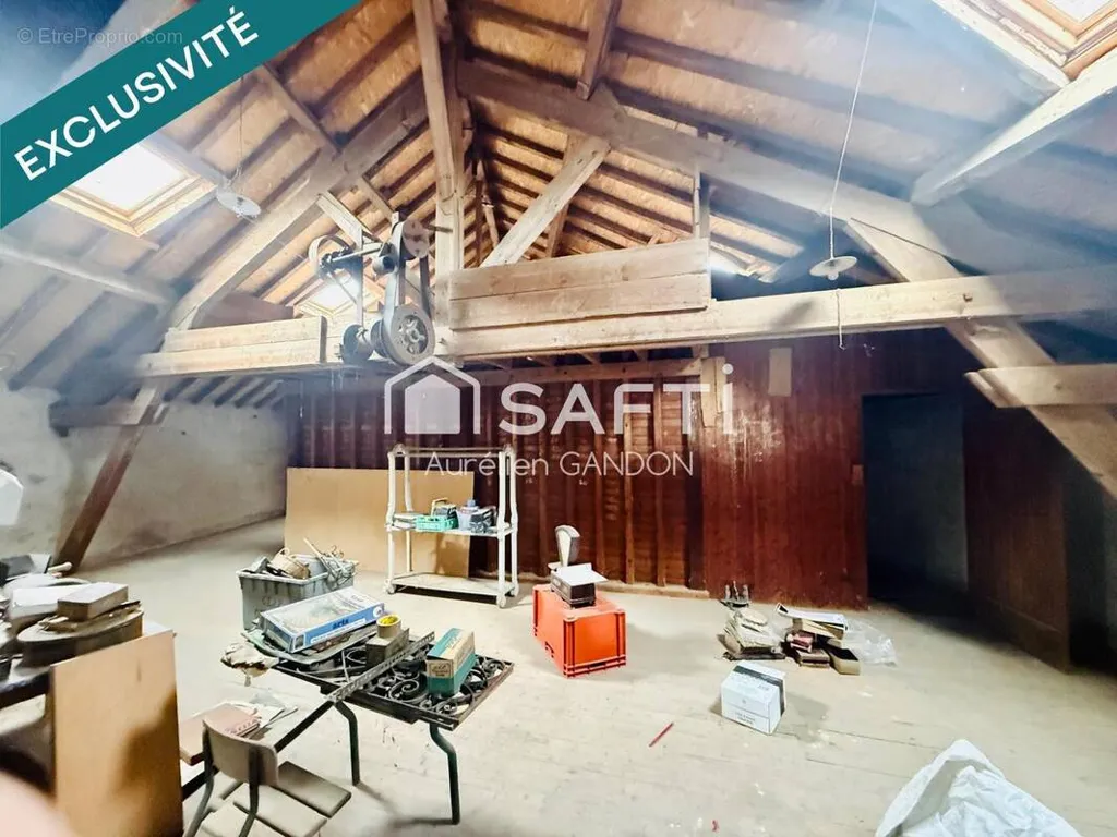 Toad - Large Building with Potential in Nangis
