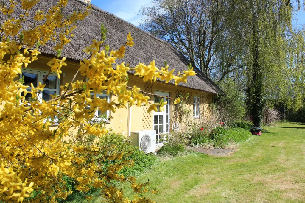 Extérieur - Handcrafted Cottage with Unique Garden in Kielstrup
