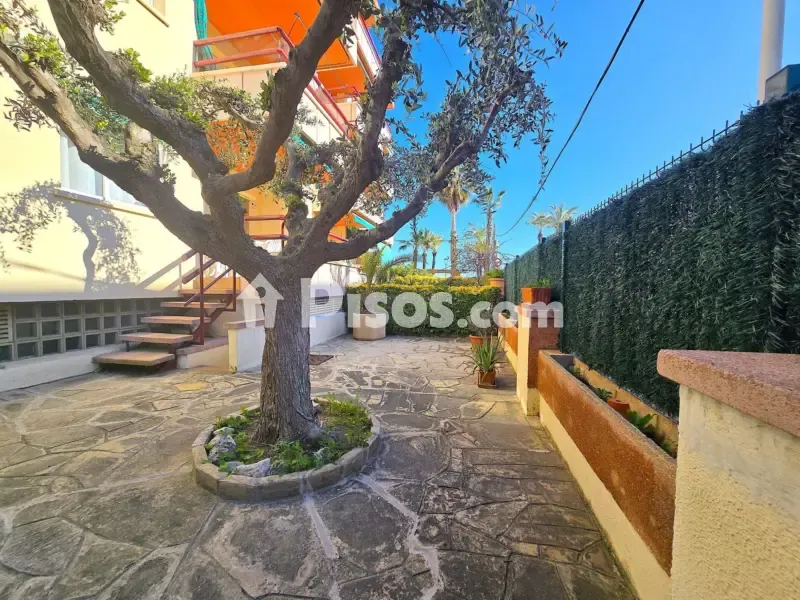 Jardin - Reformed Flat with Sea View in L'Aragai