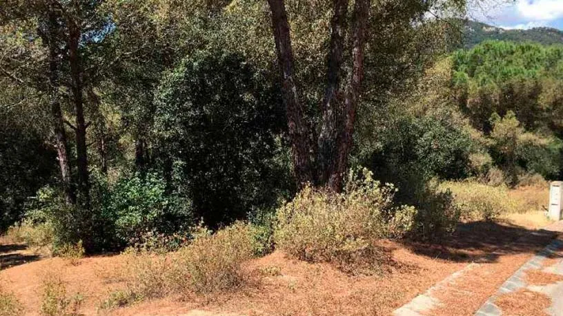 Aed - Plot with Development Potential in Òrrius, Barcelona