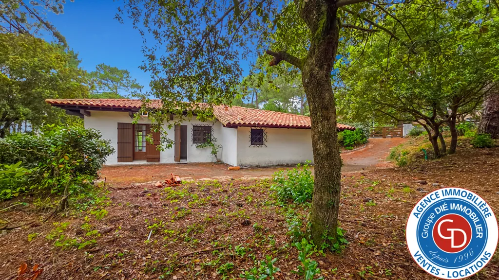 Extérieur - Villa de Plain-Pied avec Piscine à Pyla-sur-Mer