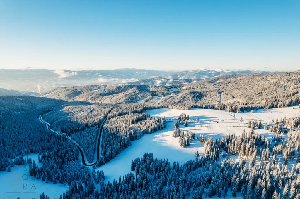Modern Holiday Complex with Ski-In/Ski-Out in Posch Alpe