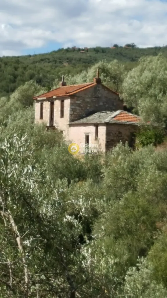 Extérieur - Traditional Olive Grove with Panoramic Views in Pelion