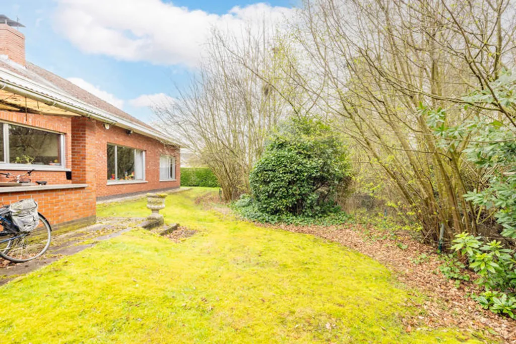 Jardin - Maison à Renover avec Terrasse à Nijlen