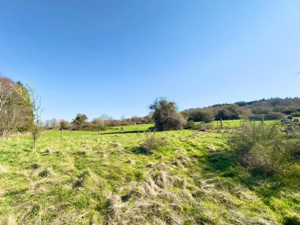 Aed - Large House with 9 Bedrooms in Oppagne