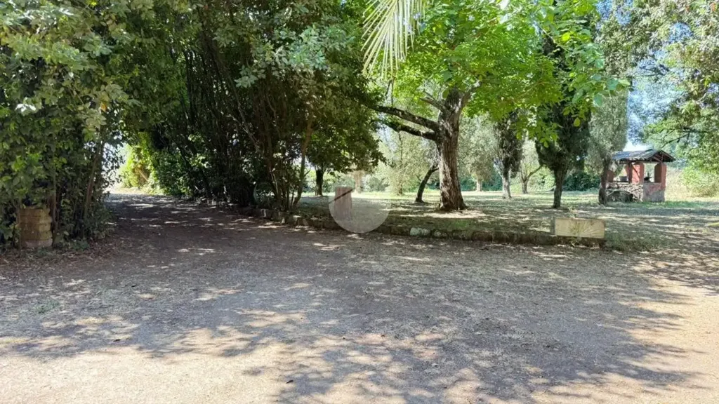 Jardin - Rustic Casale with Garden in Teverina, Viterbo