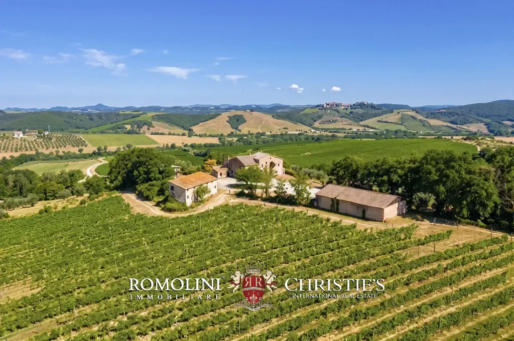 Õhuvaade - Rustic Casale with Vineyard near Orvieto