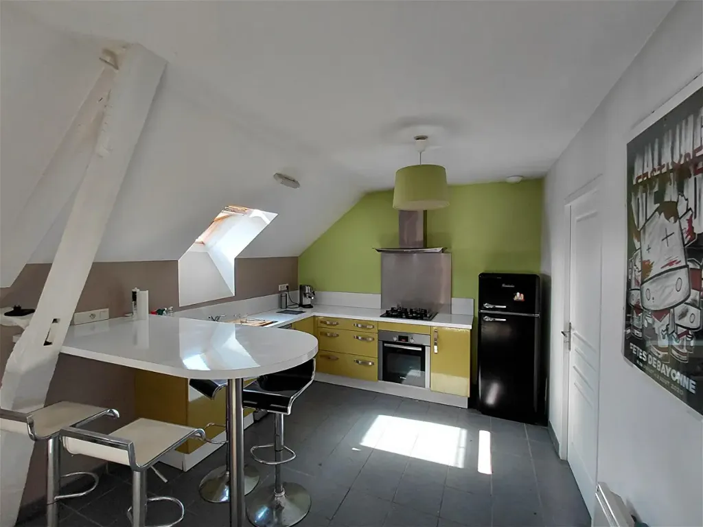 Cuisine - Grange Réaménagée en Deux Habitations à Bénéjacq