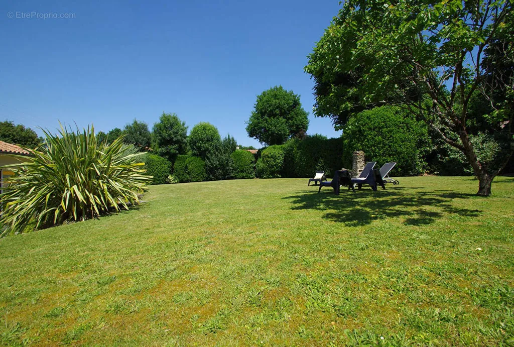 Jardin - Maison Familiale avec Jardin à Vertou