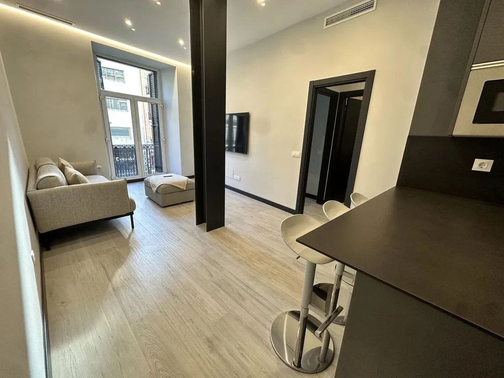 Elutuba - Luxury Apartment with Terrace in Madrid Centre