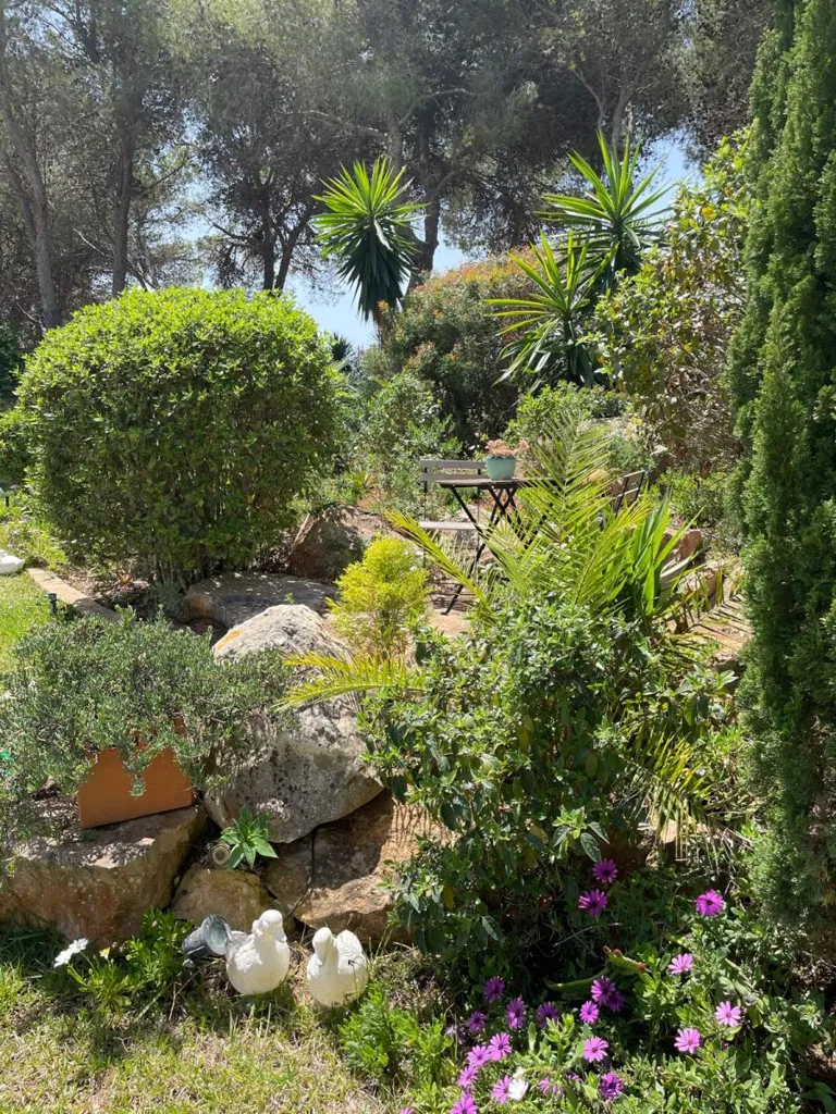 Jardin - Andalusian Villa with Sea View in Santa Eulalia