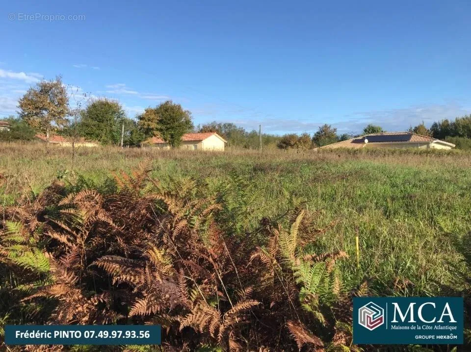 Aed - Buildable Plot with Garden in Labastide-d'Armagnac