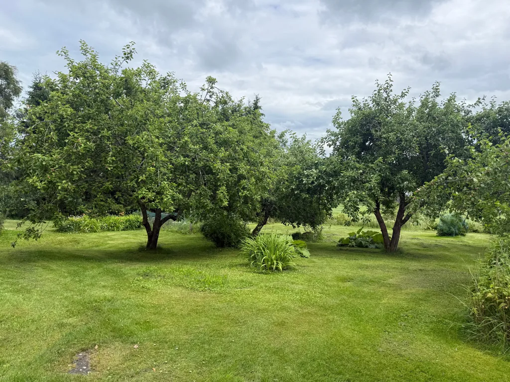 Jardin - Detached House with Garden in Rauma