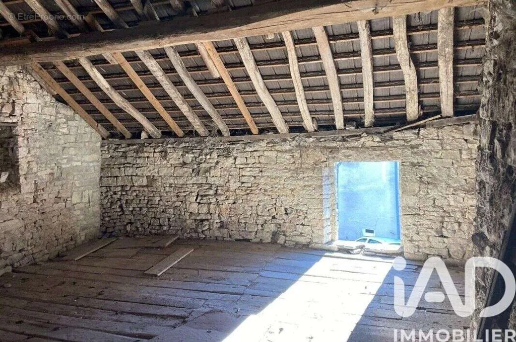 Toad - Restoration Grange with Garden in Troyes