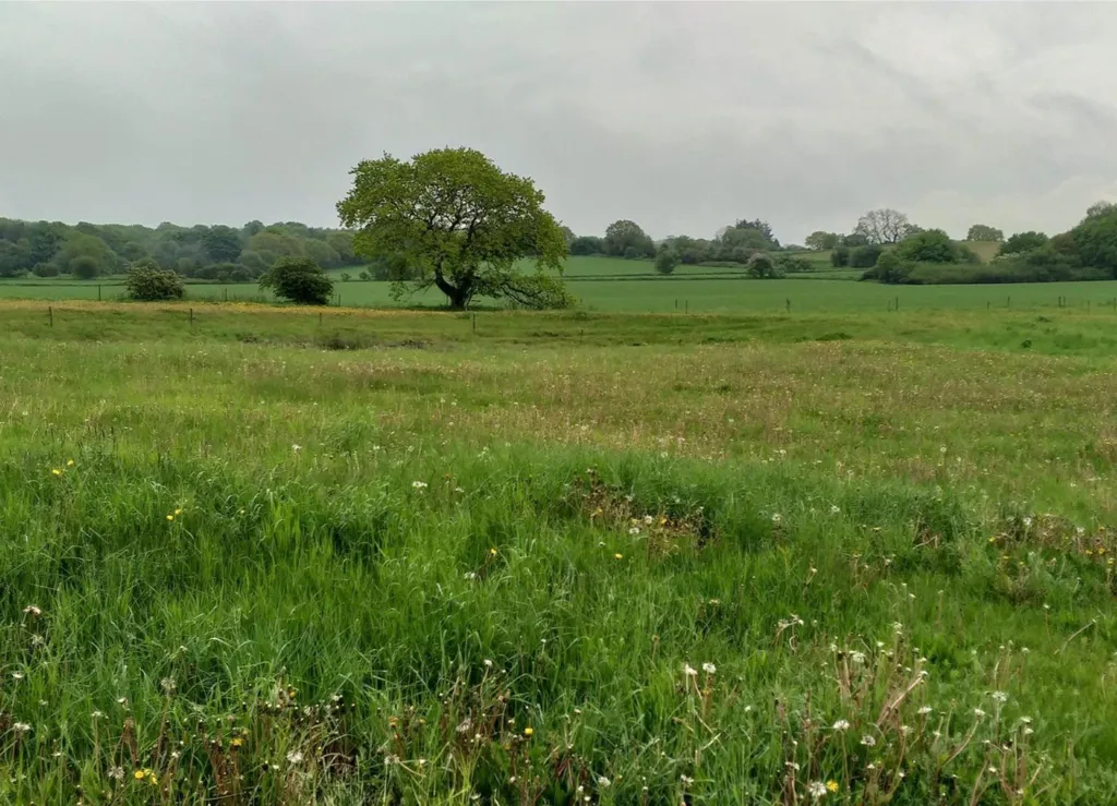 Aed - Year-Round Plot with 5G Coverage in Brædstrup