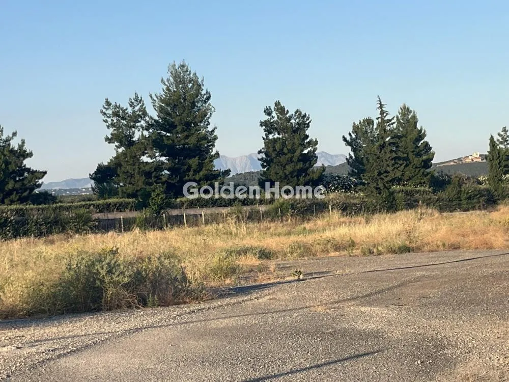 Giardino - Commercial Plot with Olive Trees in Traganá