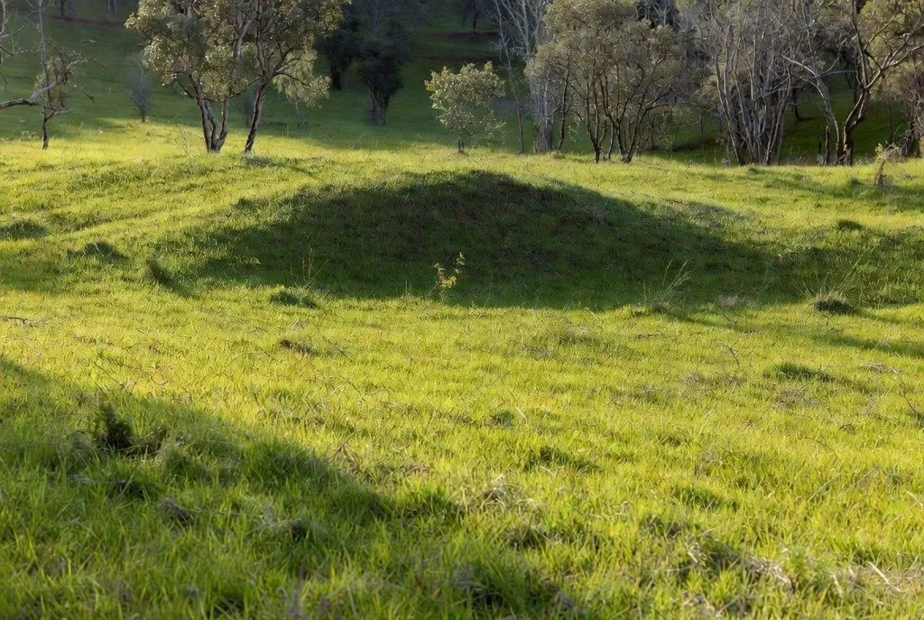 land_plot
