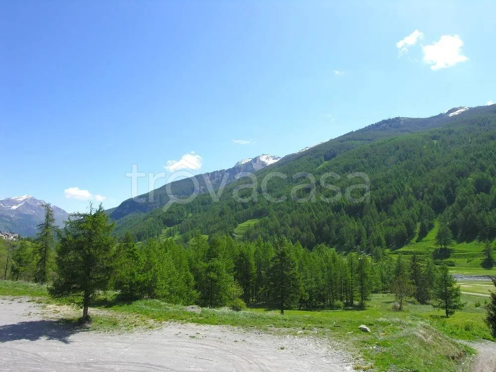 Ground Floor Apartment with Terrace in Pragelato