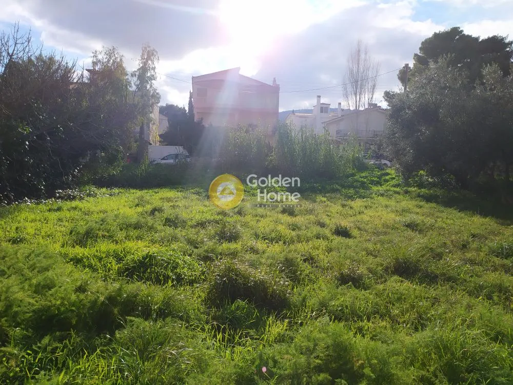Jardin - Buildable Plot with Sea View in Glyka Nera Centre