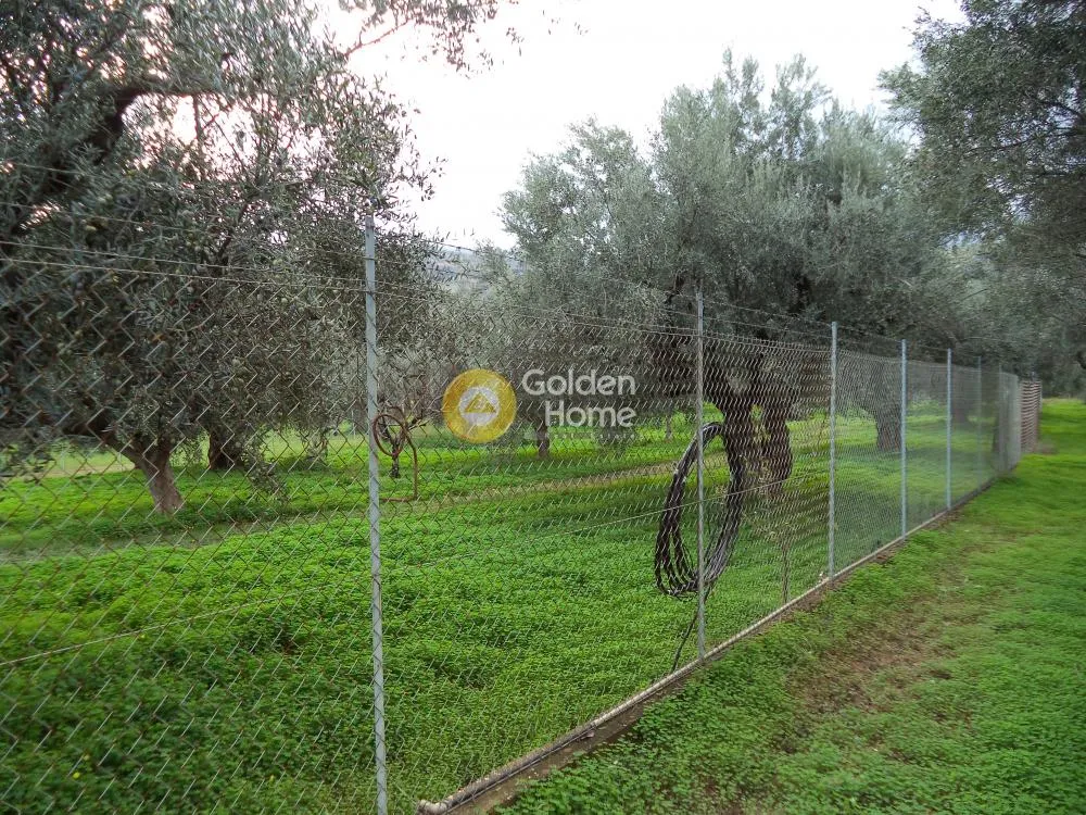 Land in GR