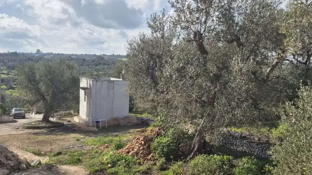 Aed - Rustic Trullo to Renovate in Ostuni