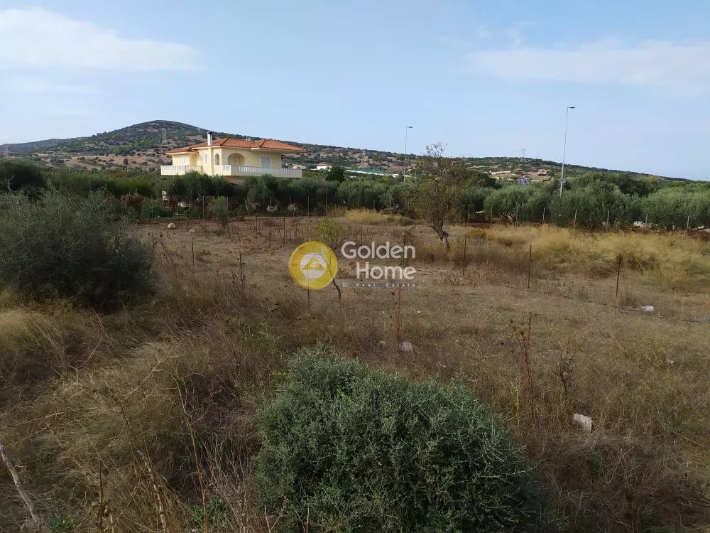 Aed - Plot with Unrestricted View in Kalivia Centre