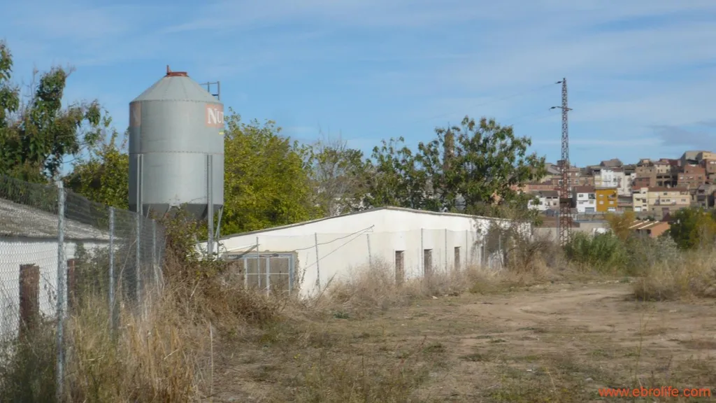 Jardin - Farm with Naves and Service House in Maella
