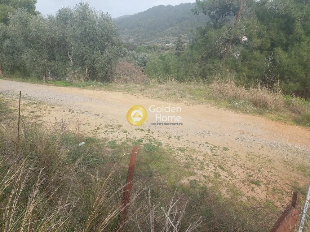 Aed - Buildable Plot with Unrestricted View in Agrinio Centre
