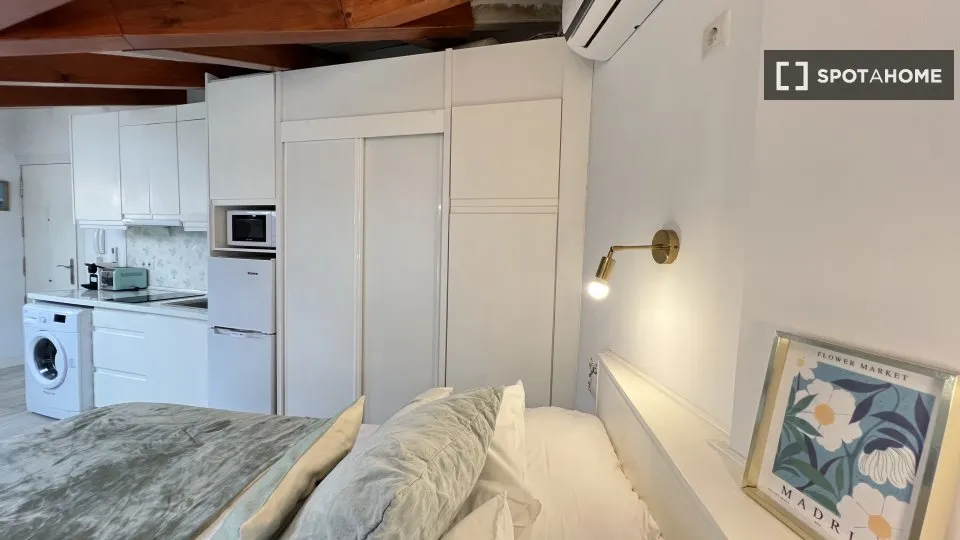 Chambres - Furnished Studio in Universidad, Madrid