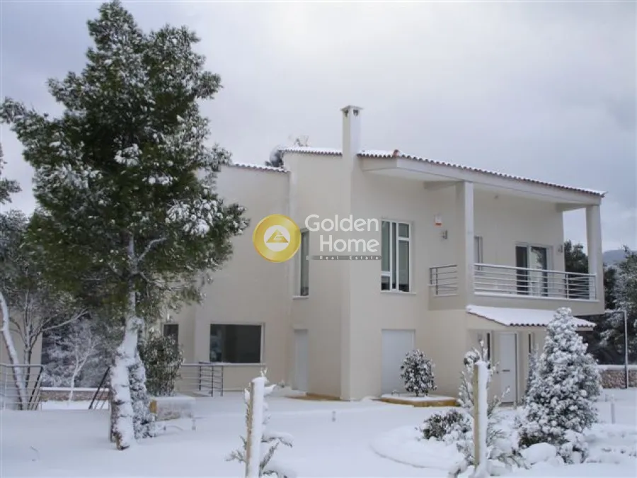 4-toaline korter asukohas GR