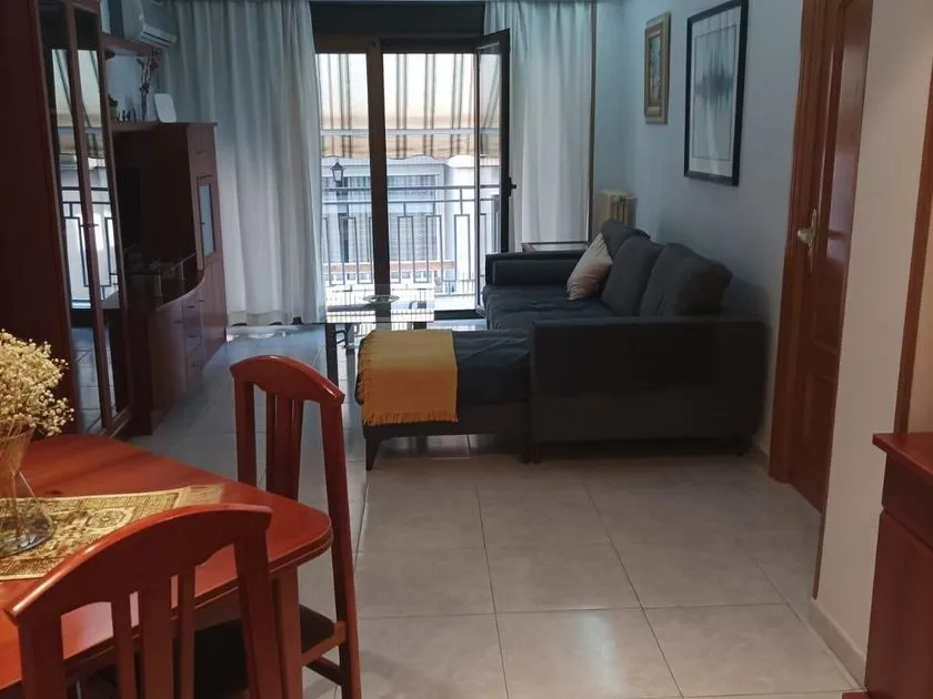 Séjour - Student Flat with Terrace in Granada Centre
