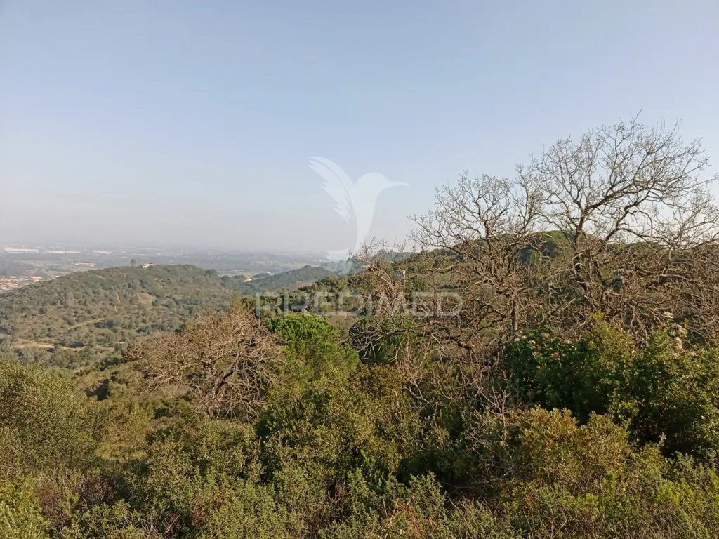Rustic Land with Protected Oak Grove in São Francisco da Serra